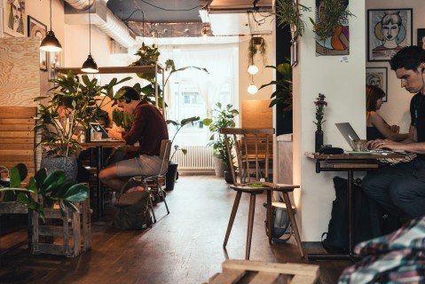 Kafi Freud - Image 4