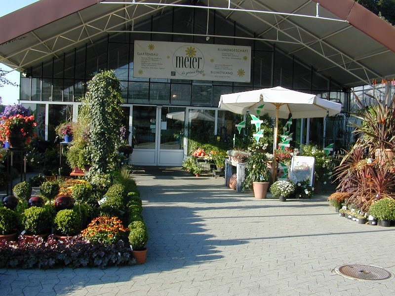 Blumenland Schweiz AG